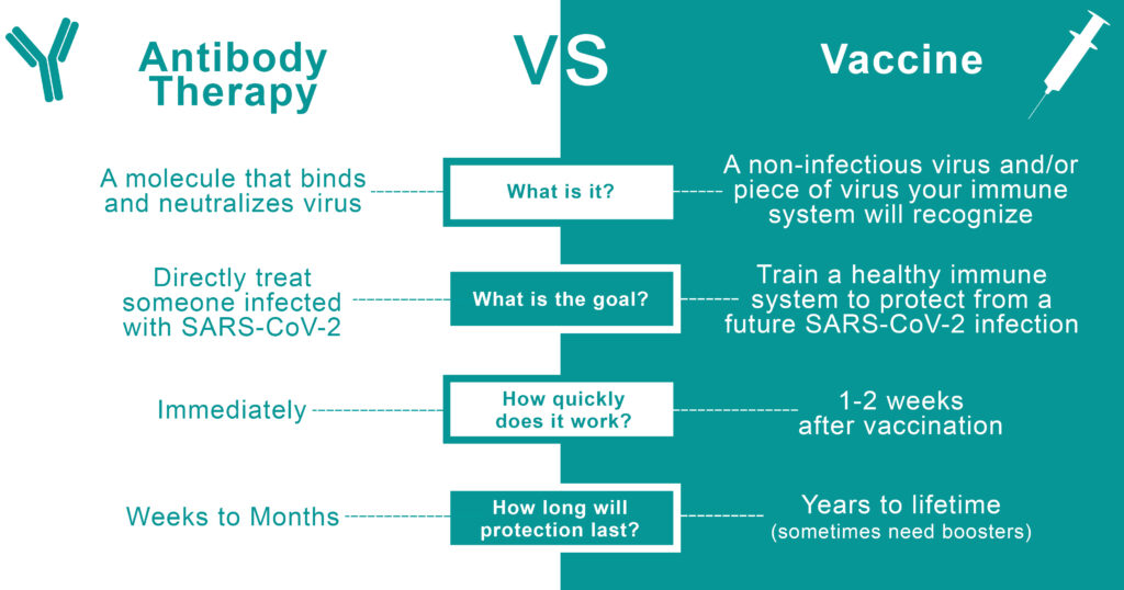 Antibody vs Vaccine